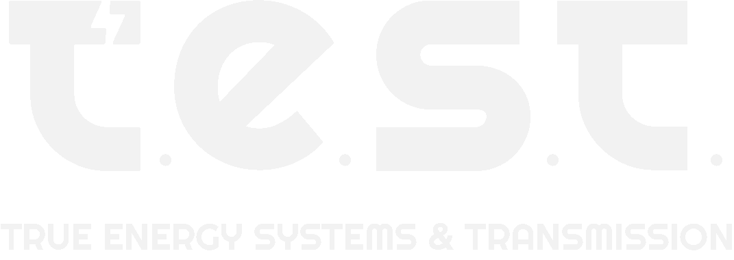 trueenergysystems.in